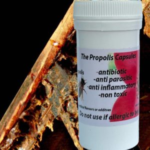 Drakensberg Honey Propolis Capsules
